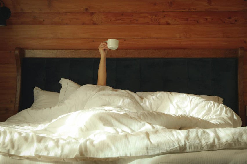 BED HOLDING COFFEE CUP