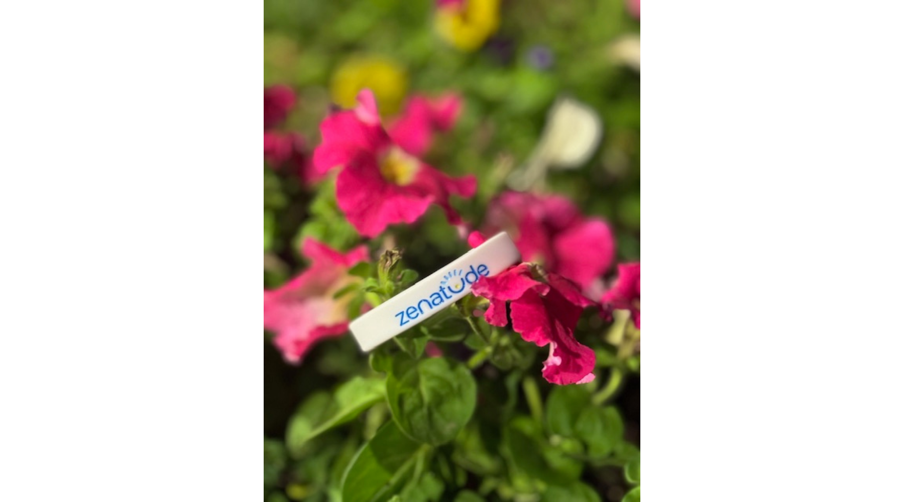 That Feeling of Spring