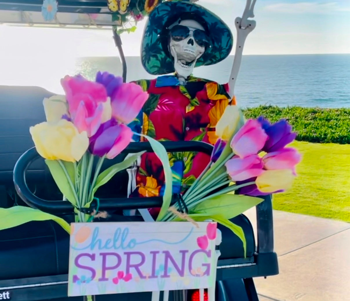 Spring Flowers 2024