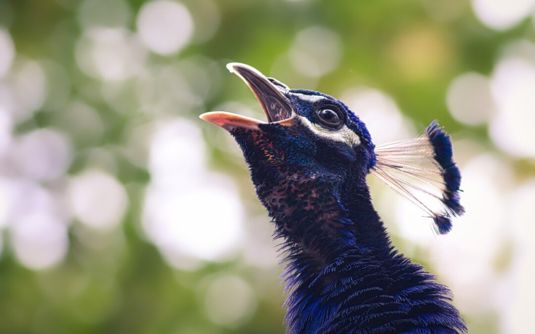 Are you stuck in your head?