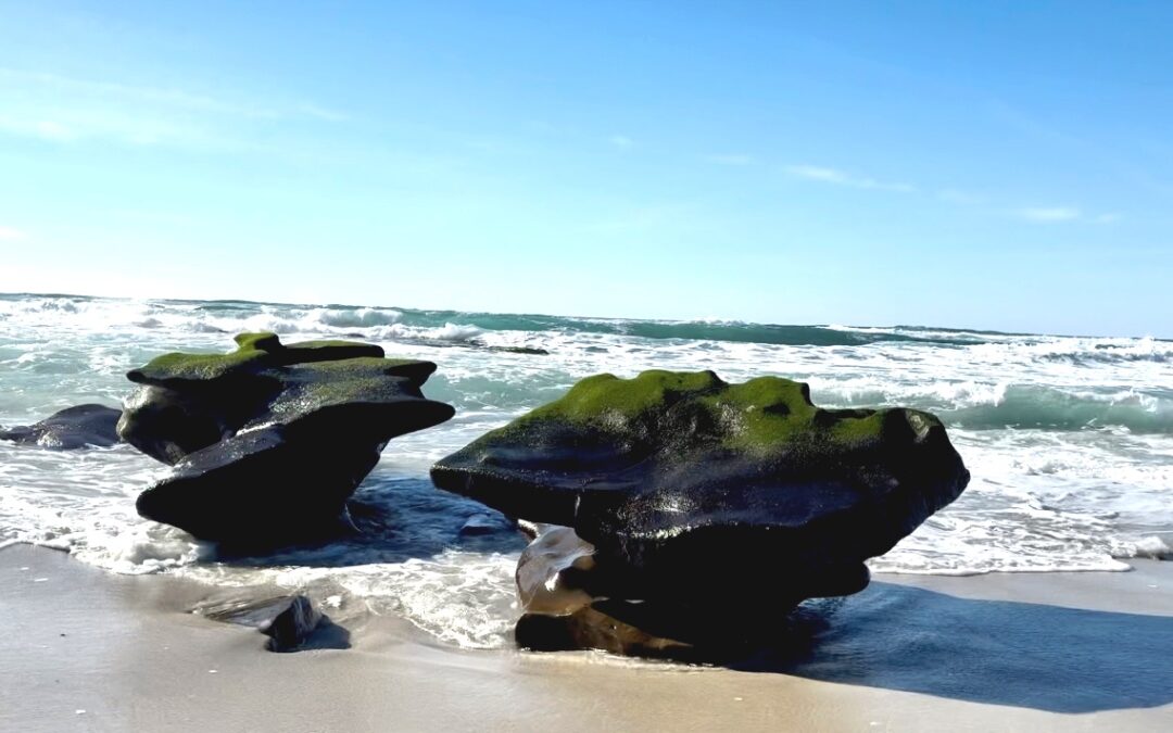 What’s Your Big Rock?