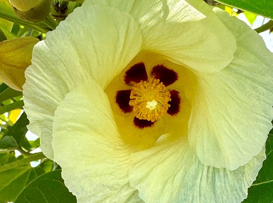 Thank YOU for reading this