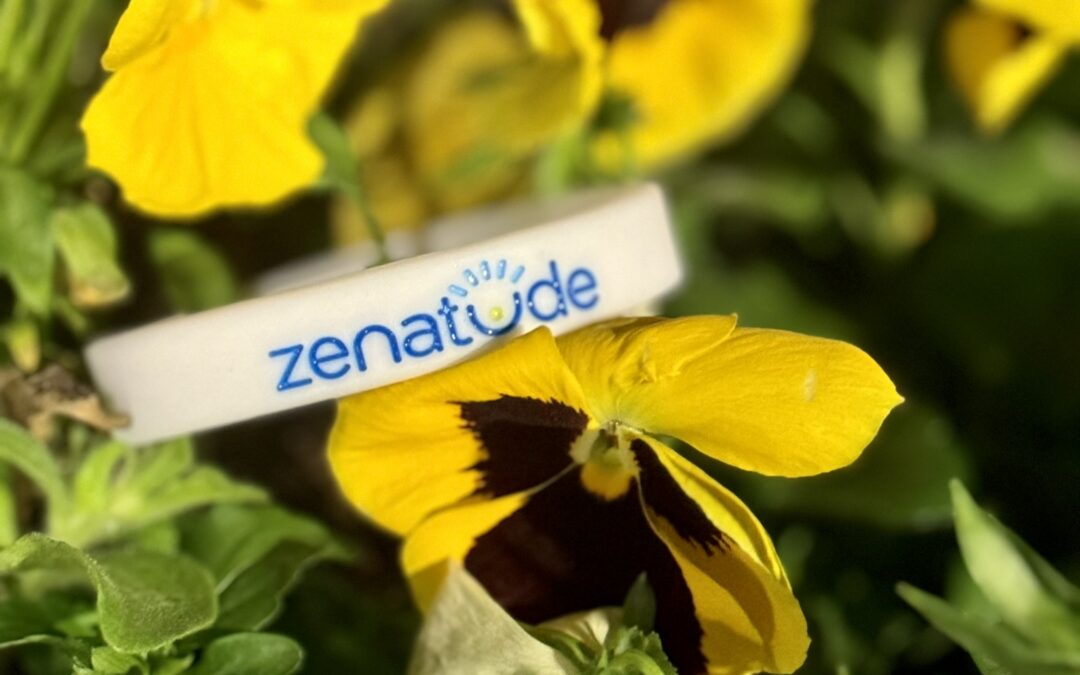 Are You Investing in YOU?